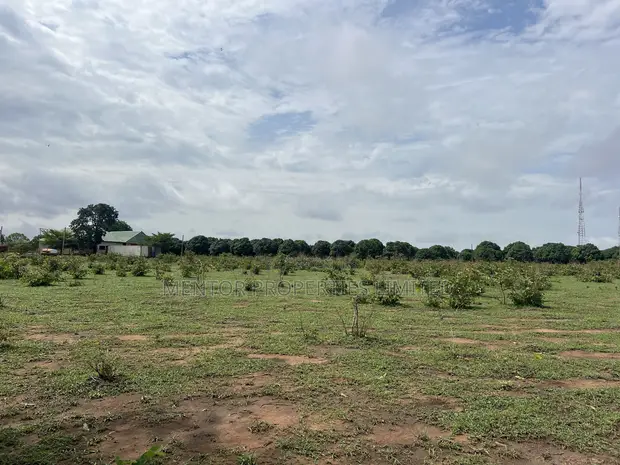 Filin Apo Waru Estate - Takardar Mallaka (C of O) - 1