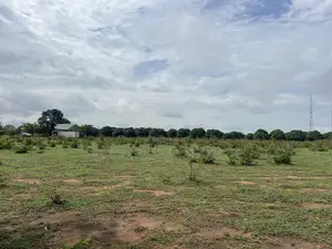 Apo Waru Estate Plots - Certificate of Occupancy