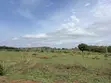 Apo Waru Estate Plots - Certificate of Occupancy - 2