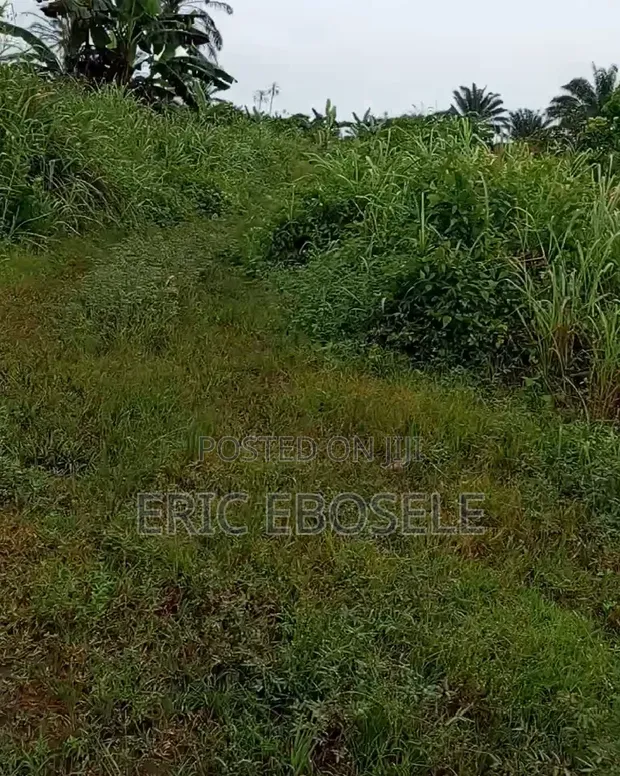 50x100ft Residential Land for Sale, Ekehuan Barracks - 1