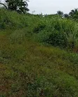 Filin Zama na 50x100ft don Siyarwa, Ekehuan Barracks - 1