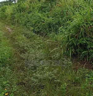 Filin Zama na 50x100ft don Siyarwa, Ekehuan Barracks
