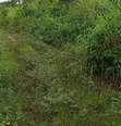Filin Zama na 50x100ft don Siyarwa, Ekehuan Barracks - 2
