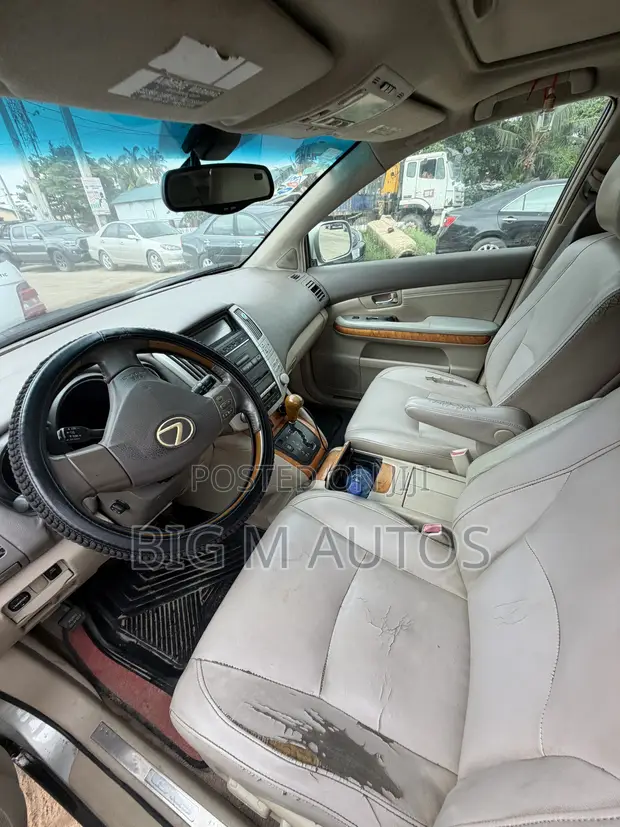 Lexus RX 330 2005 Gray - 1