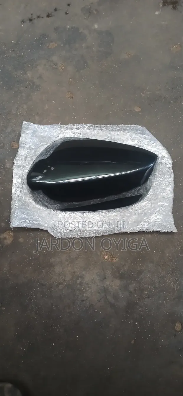 Honda Accord 2008 Right Side Mirror Cover - 1