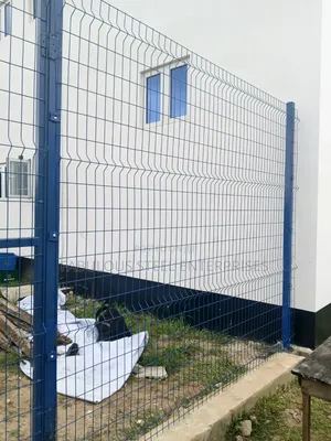 50x100 Blue Panel Mesh