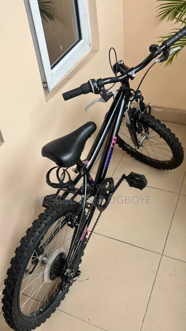 Children's Bicycle - 20" Wheels - 1