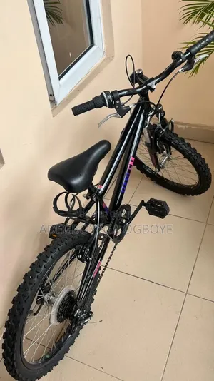 Children's Bicycle - 20" Wheels