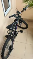 Children's Bicycle - 20" Wheels - 2