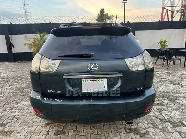 Lexus RX 330 2004 - 1