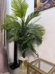 Deco Zare Vase - 1