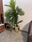 Deco Zare Vase - 2