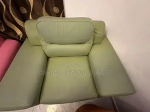 Home Interiors Parlour Single Chairs (Set of 2)