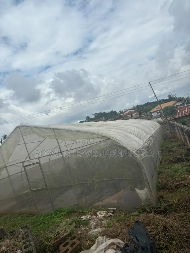 8x24m Fully Equipped Greenhouse for Sale in Ibadan - 1