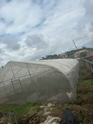 8x24m Fully Equipped Greenhouse for Sale in Ibadan