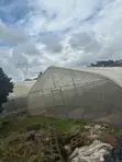 8x24m Fully Equipped Greenhouse for Sale in Ibadan - 2