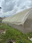 8x24m Fully Equipped Greenhouse for Sale in Ibadan - 3