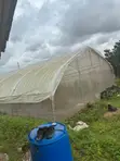 8x24m Fully Equipped Greenhouse for Sale in Ibadan - 4