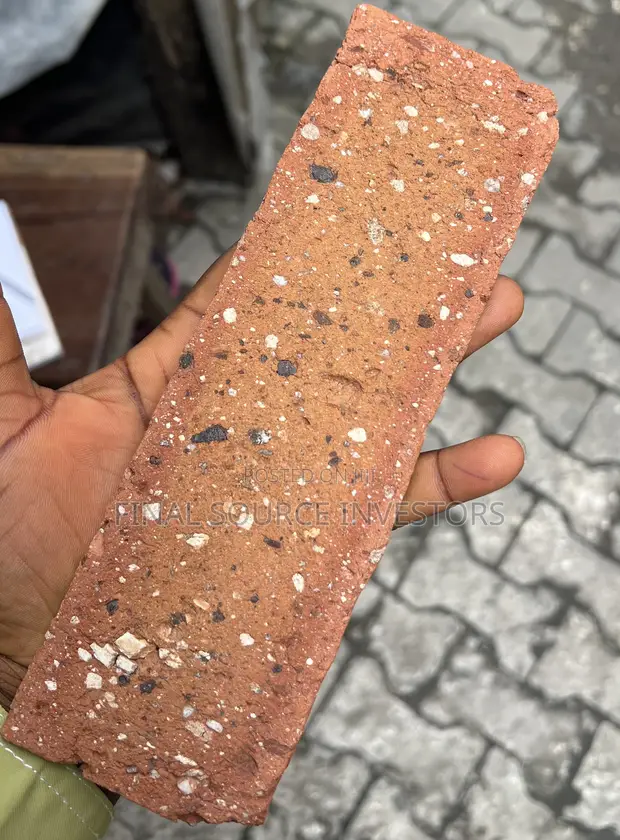 South African Burnt Jasper Bricks - 1
