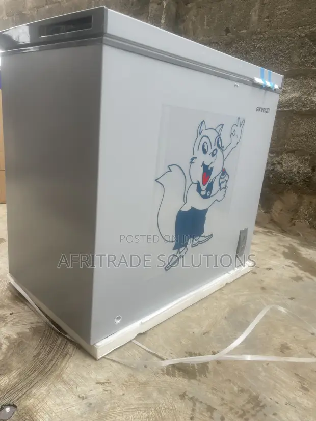 Skyrun 250L Inverter Chest Freezer - Sabon Abu - 1
