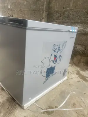 Skyrun 250L Inverter Chest Freezer - Brand New