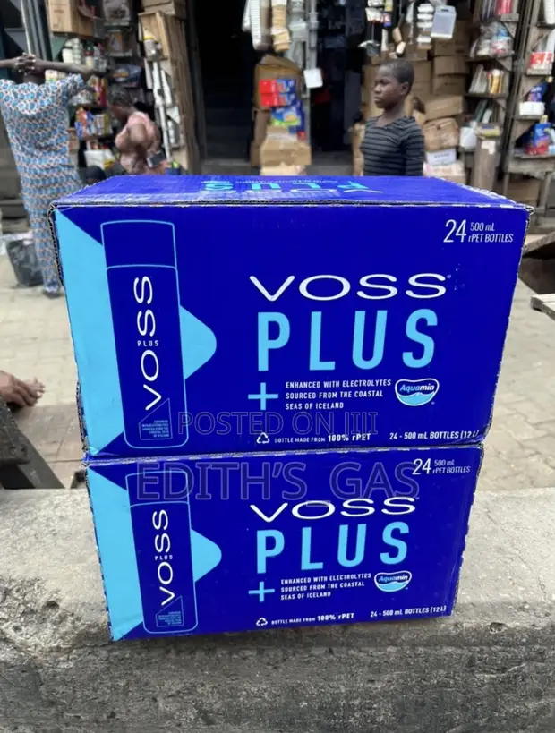 Voss Plus Artesian Water - 1