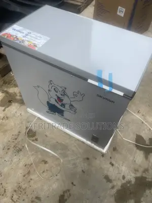 Skyrun 250L Inverter Chest Freezer - Sabon Abu