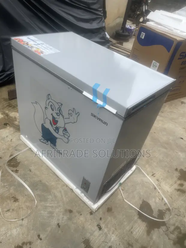 Skyrun BD-250AI 250L Inverter Deep Freezer - 1