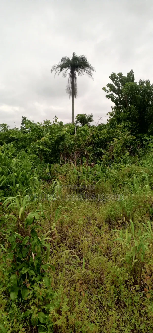 464.52 sqm Dry Table Land for Sale at Obibiezena, Owerri West - 1