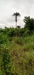 464.52 sqm Dry Table Land for Sale at Obibiezena, Owerri West - 1