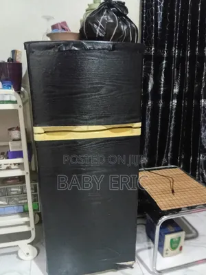 Used Bosch Double Door Mini Fridge