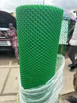 Green Plastic Wire Mesh for Fencing & Construction - 1