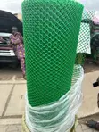 Green Plastic Wire Mesh for Fencing & Construction - 2