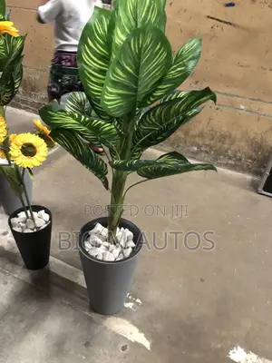 Decorative Flower Vase with Large Stones