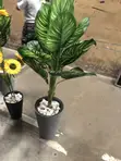 Decorative Flower Vase with Large Stones - 1