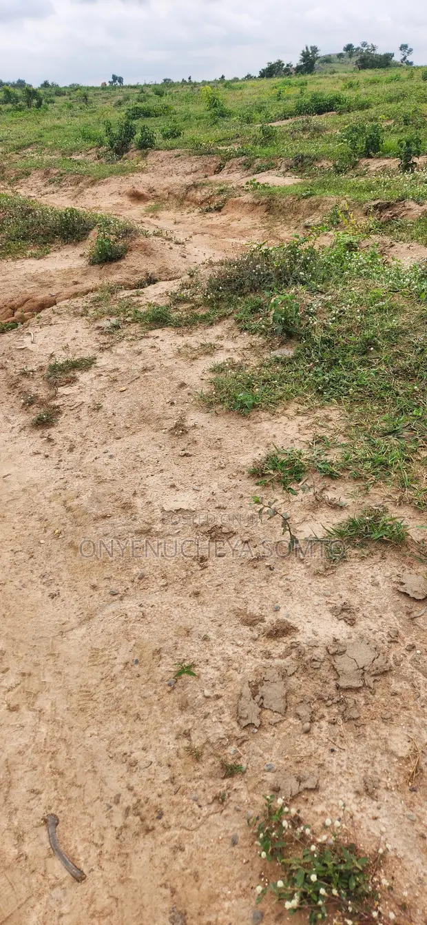 250sqm Estate Land with C of O, Pyakasa - 1