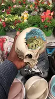 Home Interiors Skull Decoration - 2