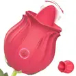 2-in-1 Rose Licker ga Mata - 2