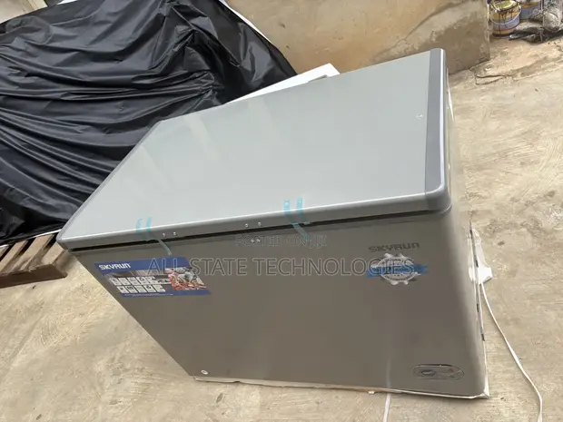 Skyrun BD-300HNW 300L Chest Freezer - 1