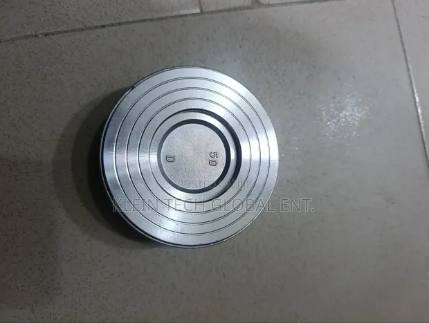 Stainless Steel Wafer Spring Check Valve - 1