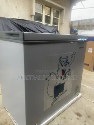 Skyrun 250L Inverter Chest Freezer - Brand New