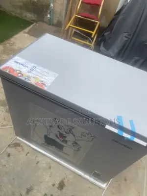 Skyrun 250L Inverter Chest Freezer - Sabon Abu