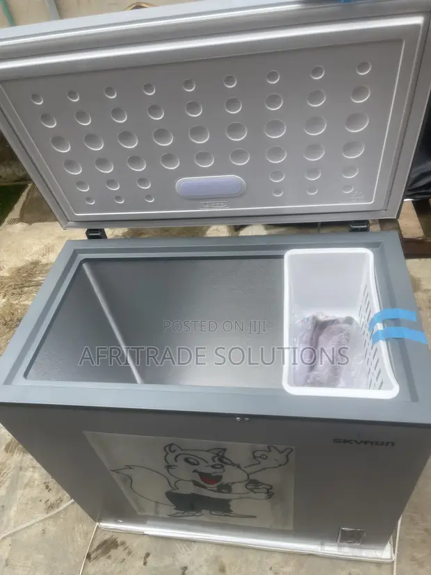 Skyrun 250L Inverter Chest Freezer - Sabon Abu - 1