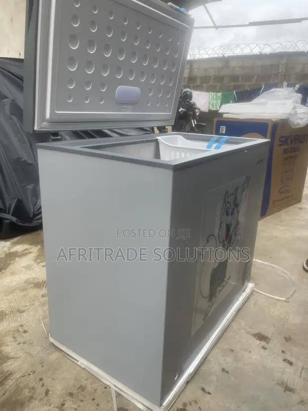 Skyrun 250L Inverter Chest Freezer - Sabon Abu - 1