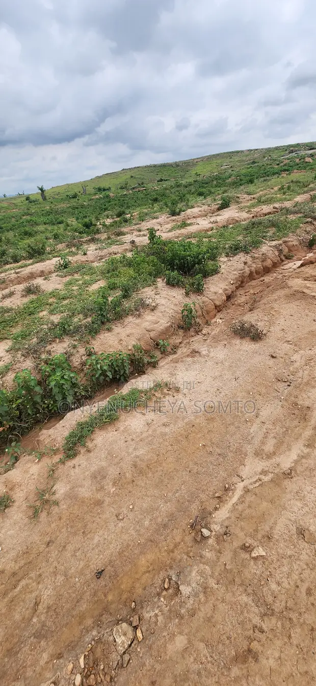 350SQM Estate Plot with C of O in Pyakasa - 1