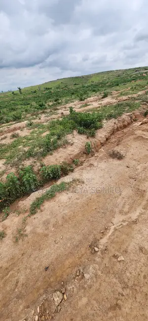 350SQM Estate Plot with C of O in Pyakasa