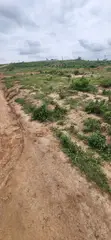 350SQM Estate Plot with C of O in Pyakasa - 3