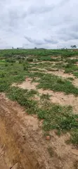 350SQM Estate Plot with C of O in Pyakasa - 4