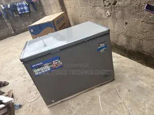 Skyrun BD-300HNW 300L Chest Freezer