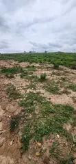 Filin Estate 500SQM tare da C of O, Pyakasa - 1
